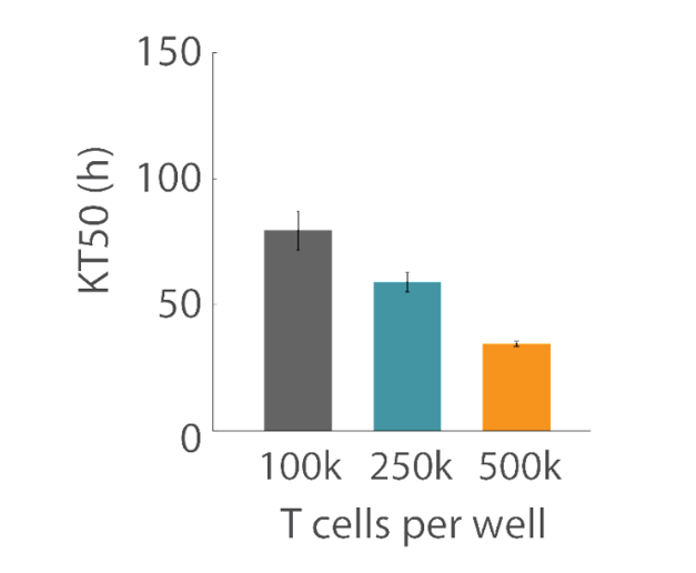 T Cell-Mediated Cytolysis of Glioblastoma using Maestro Z Real